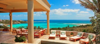 Anguilla's Bird of Paradise