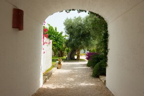 Property grounds - Masseria Torre Coccaro (Fasano)