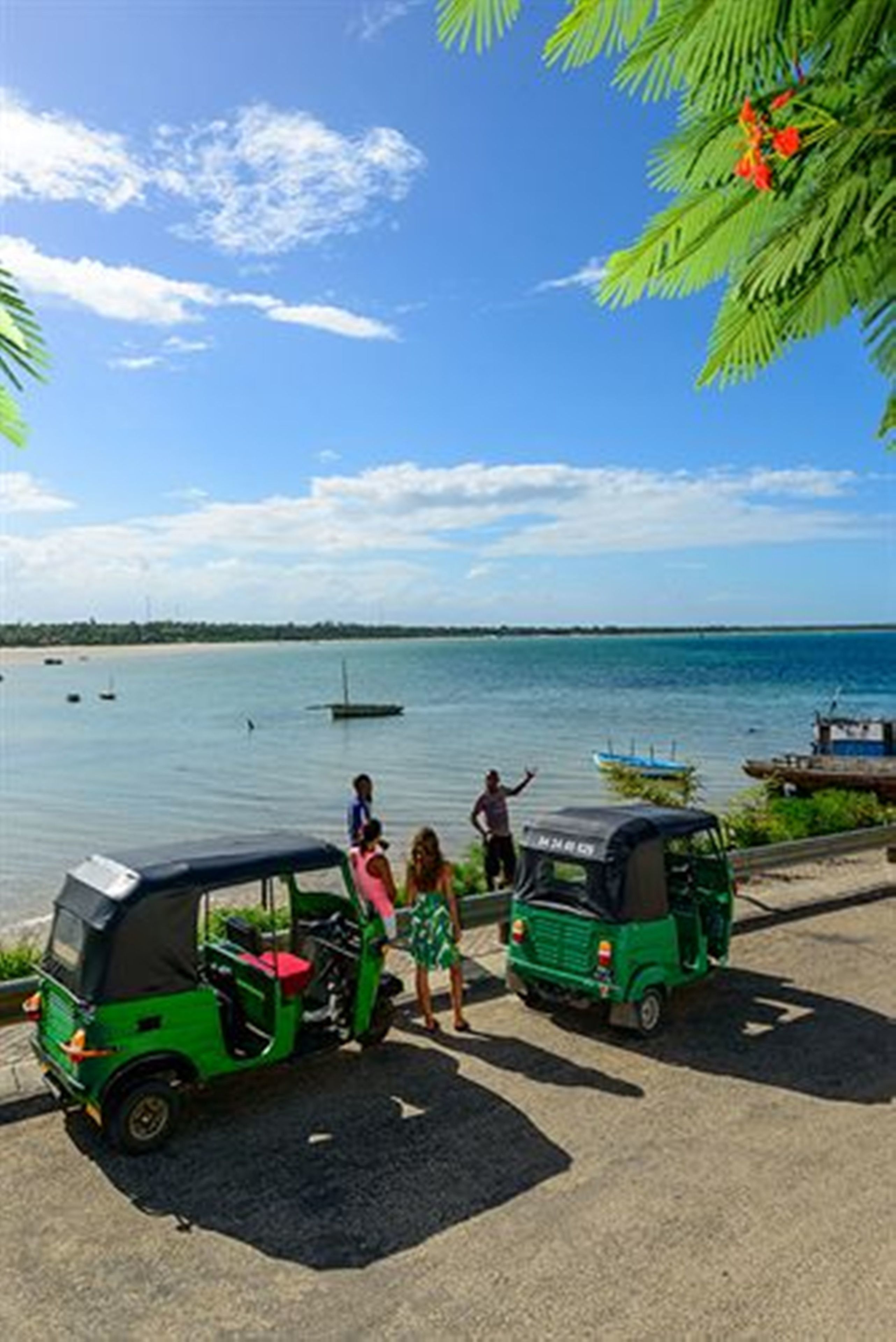 Servizio della struttura