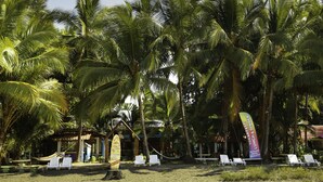 Una playa con palmeras, una hamaca y sillas reclinables blancas.