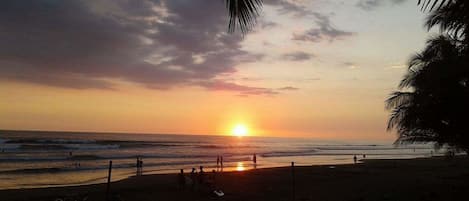 On the beach, sun-loungers, beach towels, beach yoga