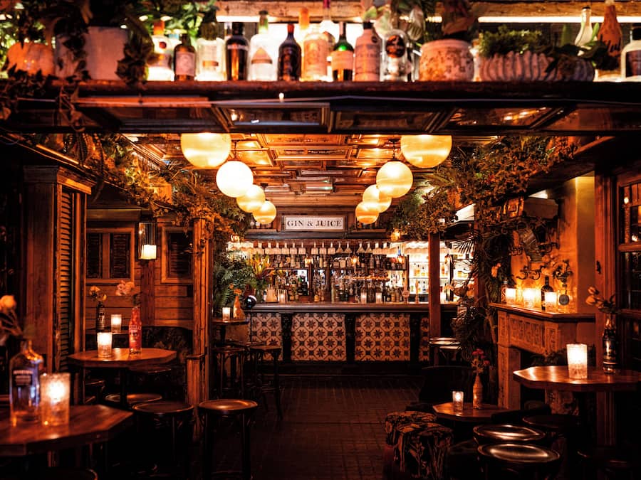 2 barer/lounger, cocktailbar og cocktailbar