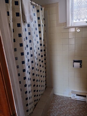 Shower, hair dryer, towels - White Pine Motel (Ely)