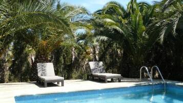 Outdoor pool, pool umbrellas, pool loungers