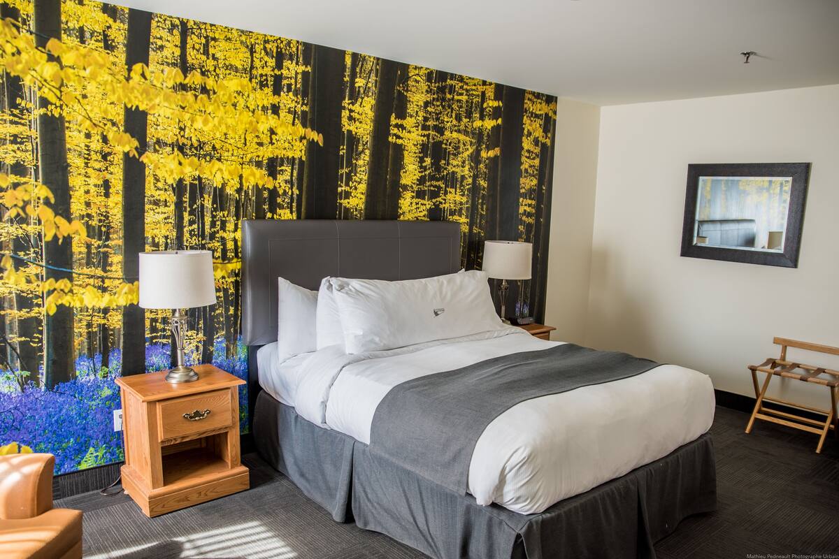 Ein Hotelzimmer mit einem Bett, Nachttischen, einer Lampe, einer Bank und einem großen Wandbild mit Waldmotiven.