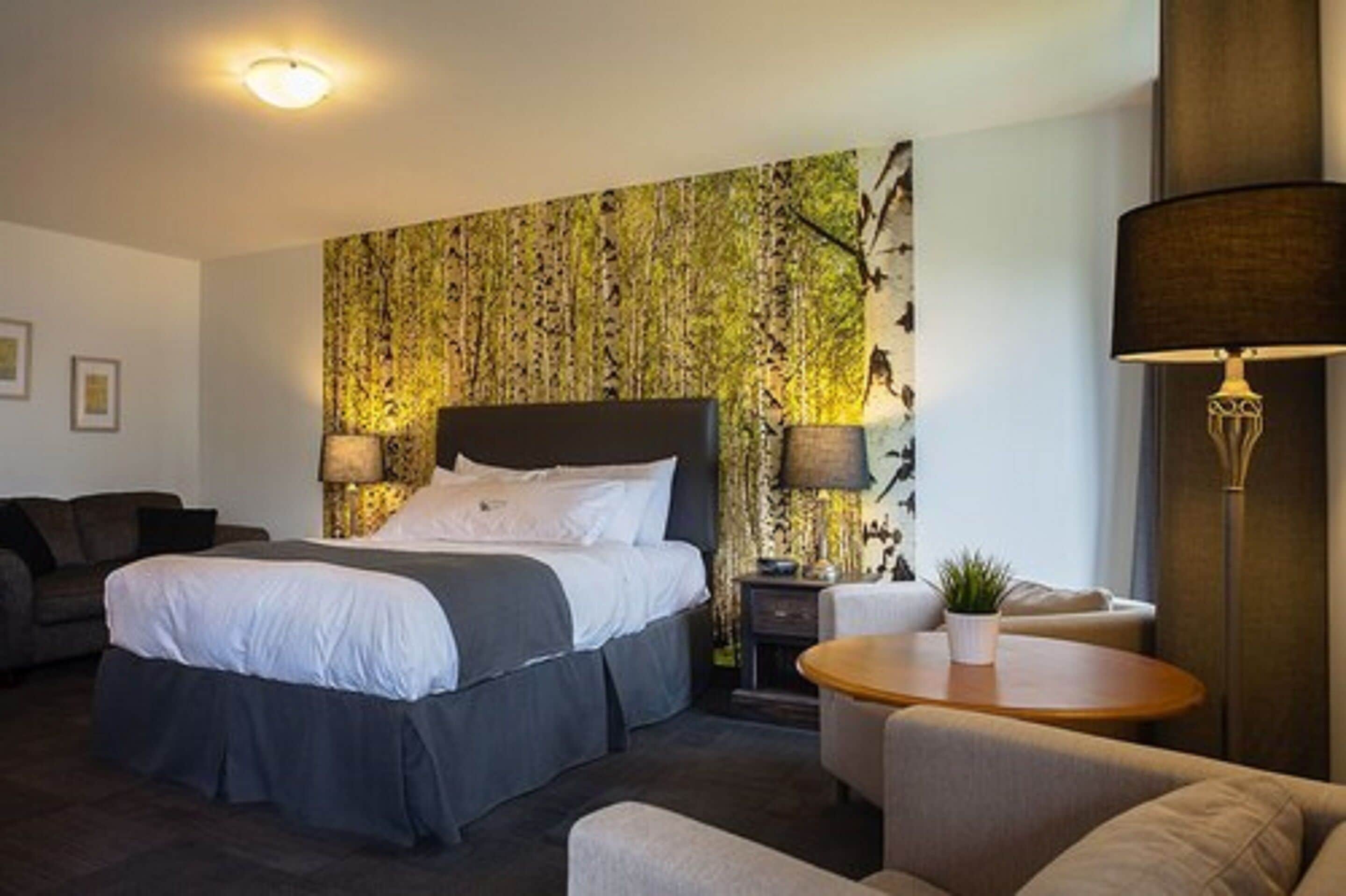 regular room, 1 queen bed, river side | egyptian cotton sheets, premium bedding, individually decorated