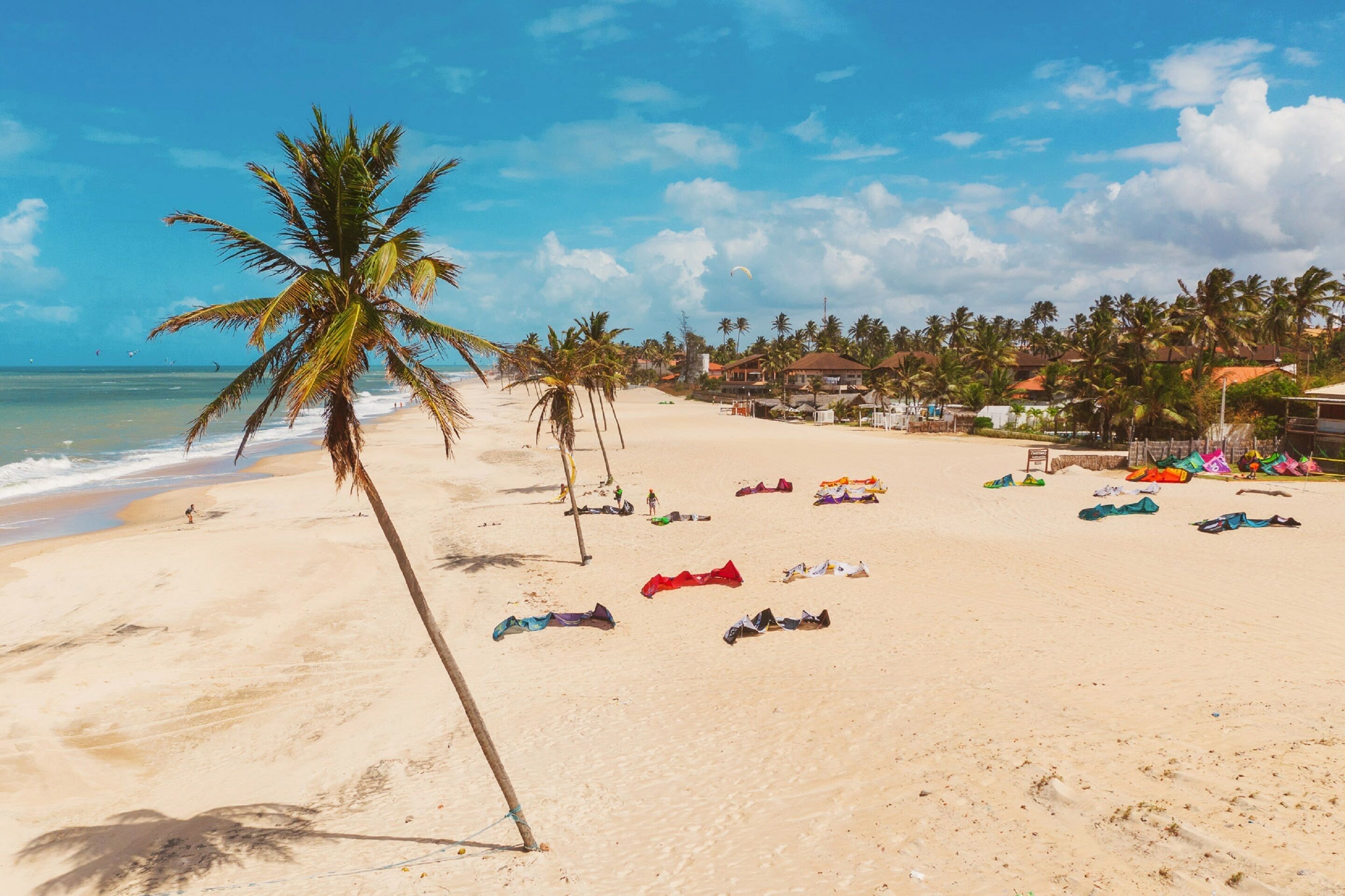 Uma praia com palmeiras, areal e guarda-sóis coloridos.