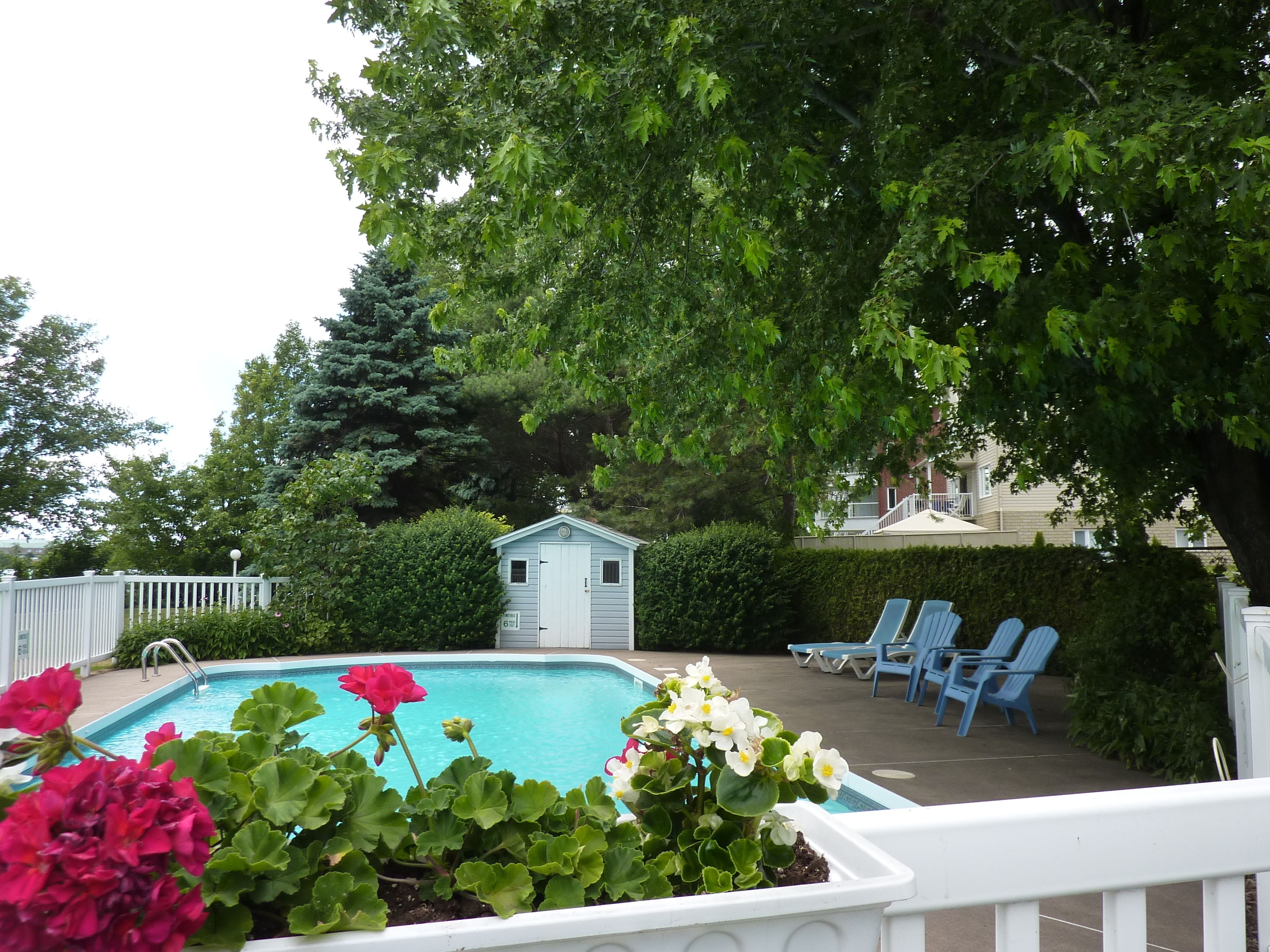 Seasonal outdoor pool, sun loungers