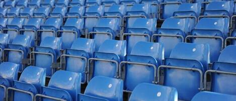 Rows of blue stadium seats.