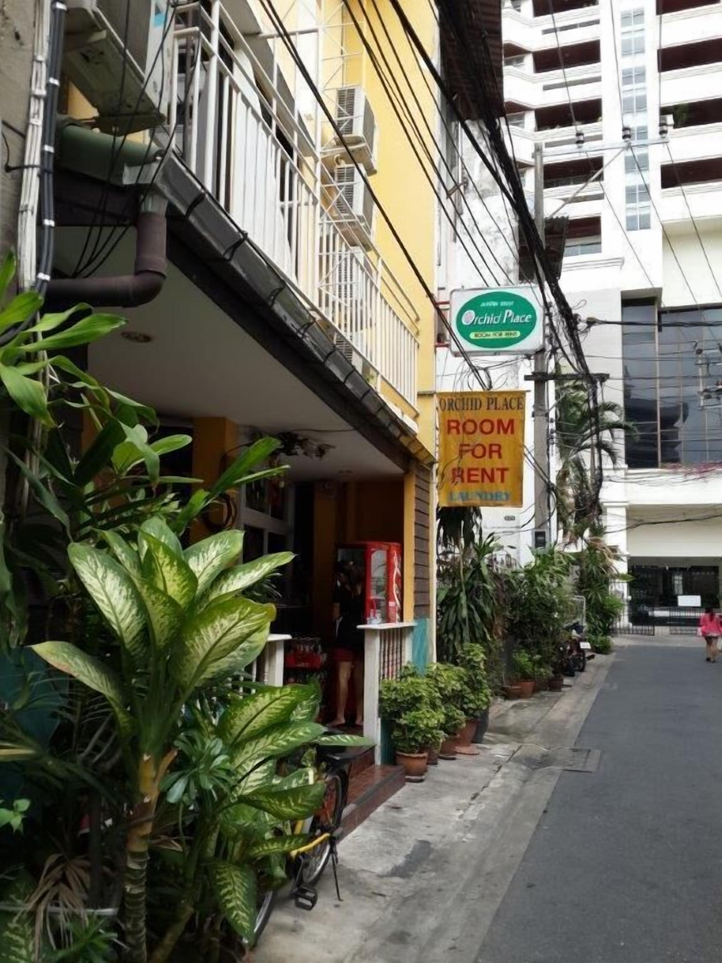 Photo - Orchid Place