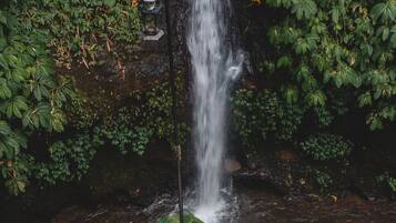 Breakfast, lunch, dinner served; Asian cuisine