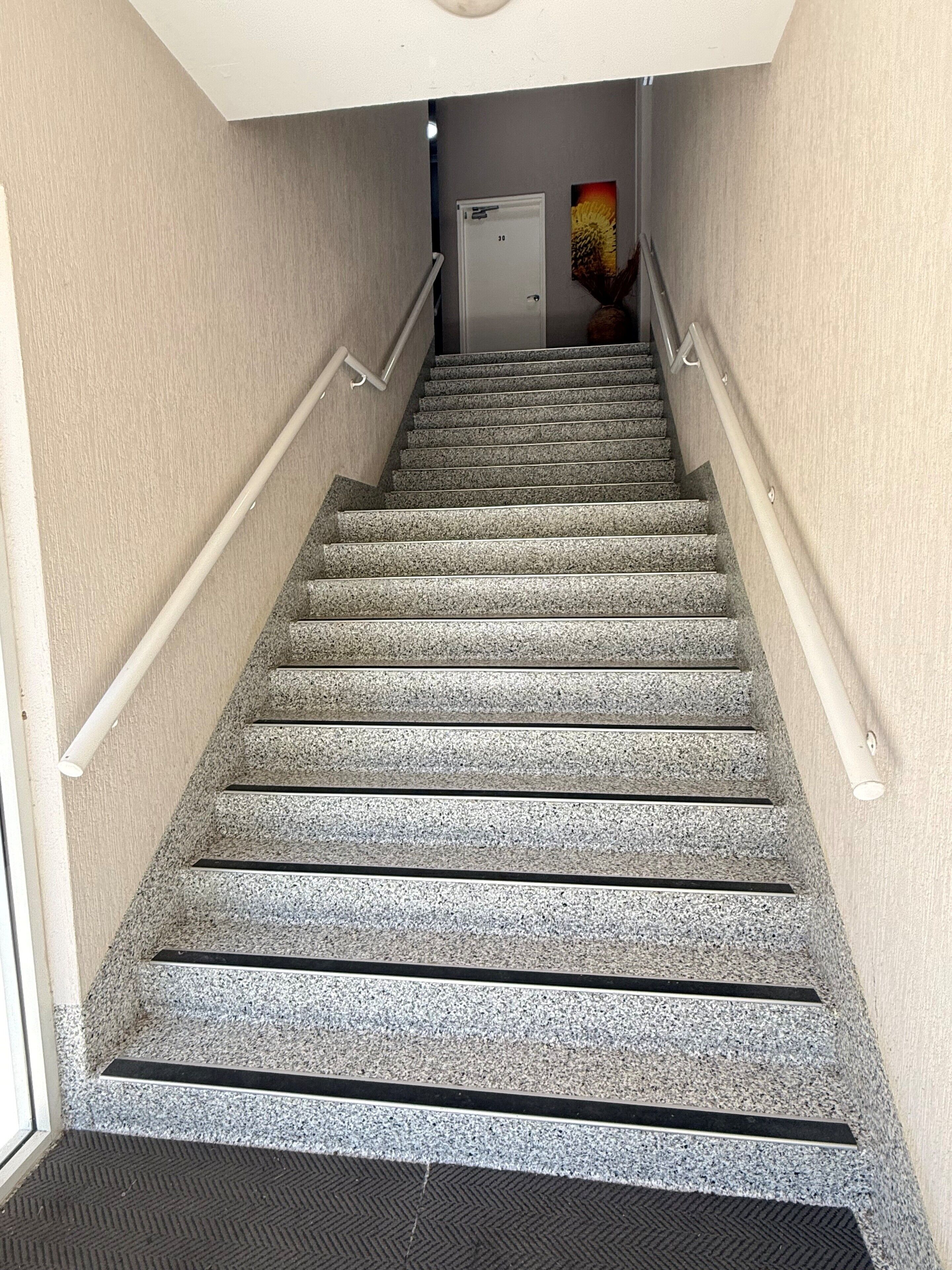 A staircase with a handrail, carpeted steps, and a door at the top.