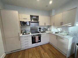 大型雪櫃/冰箱、微波爐、焗爐、爐具