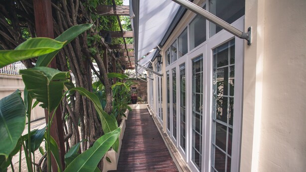 Un estrecho sendero de madera bordeado por grandes plantas verdes y un edificio con amplios ventanales.