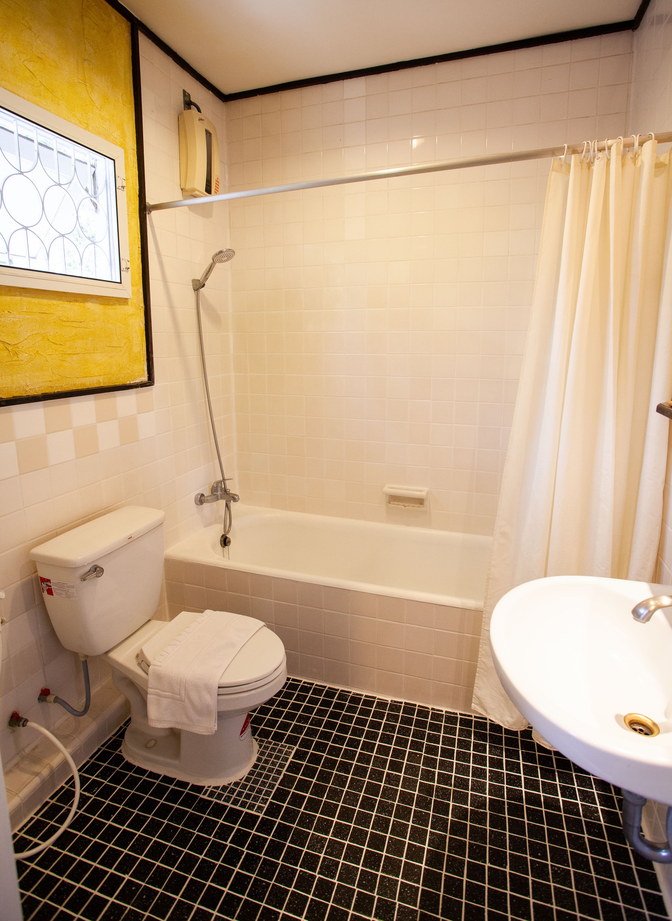 combined shower/bathtub, hair dryer, towels, shampoo