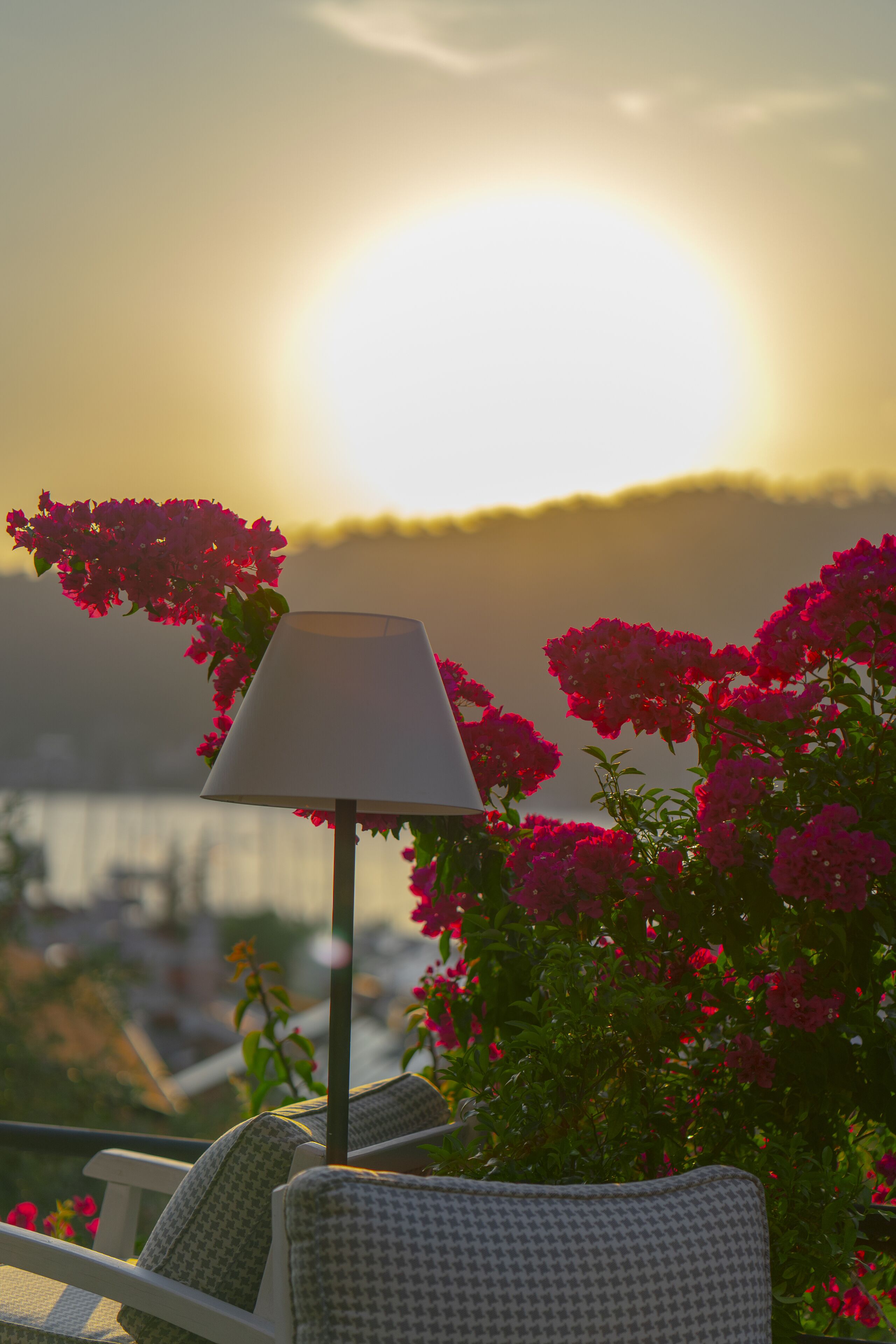 A chair with a patterned cushion, a lamp, and pink flowers in the foreground with a sunset in the background.