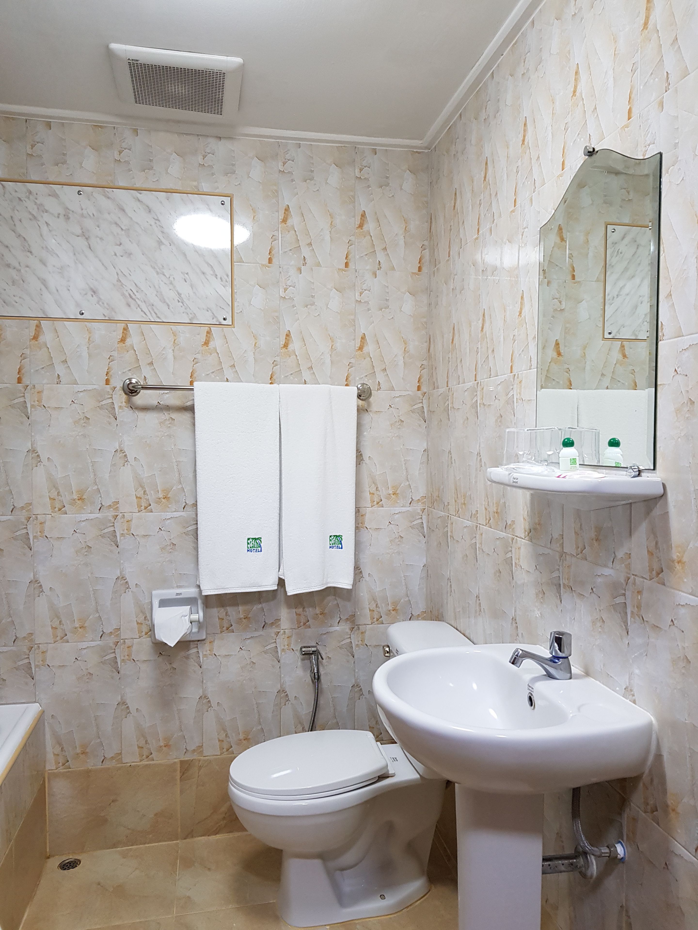 A bathroom with a toilet, bidet, sink, and a mirror.