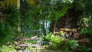 A garden pathway with a metal bench surrounded by lush greenery. - TL Residence (Chiang Mai)