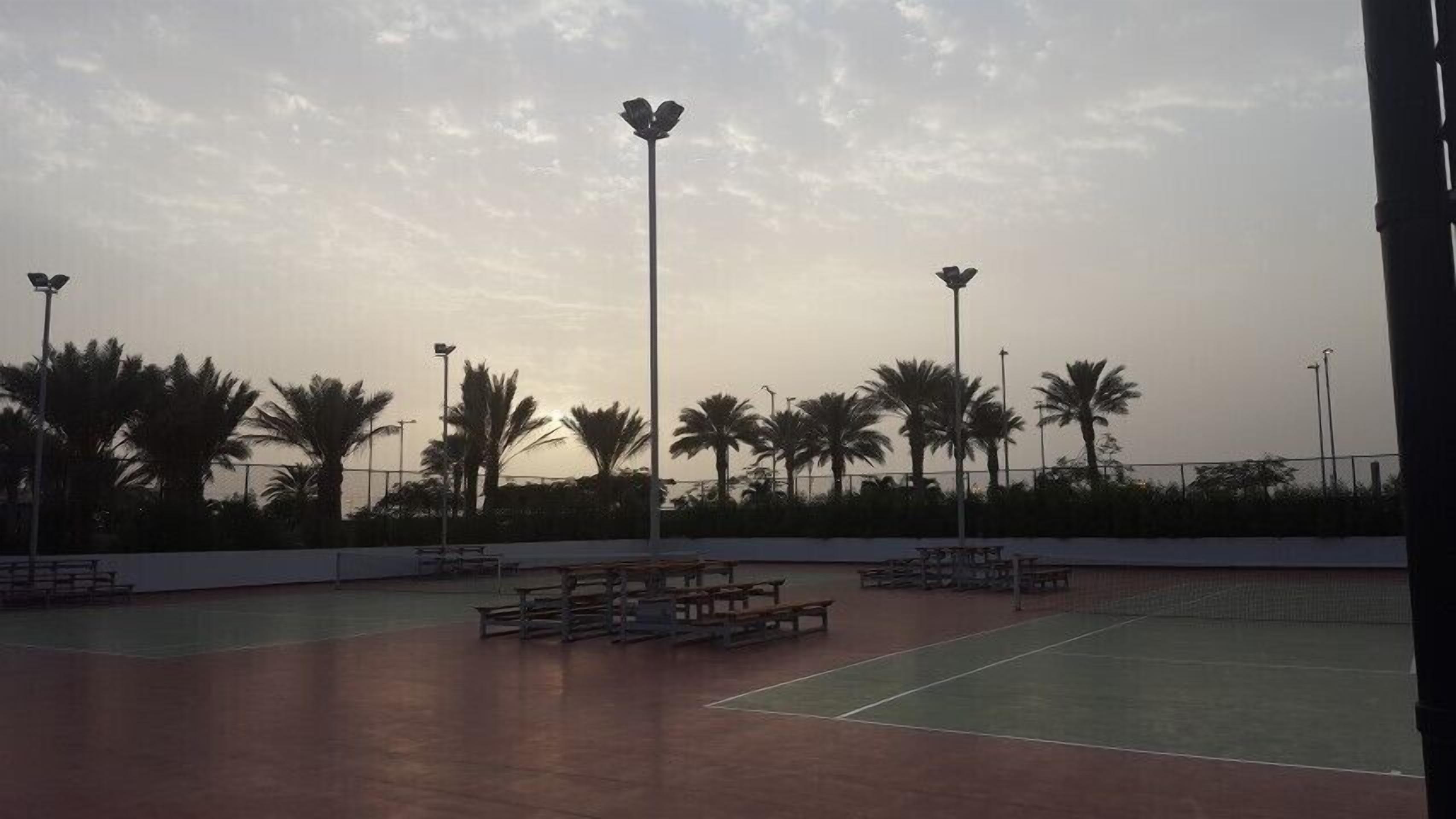 An outdoor tennis court with benches and palm trees.