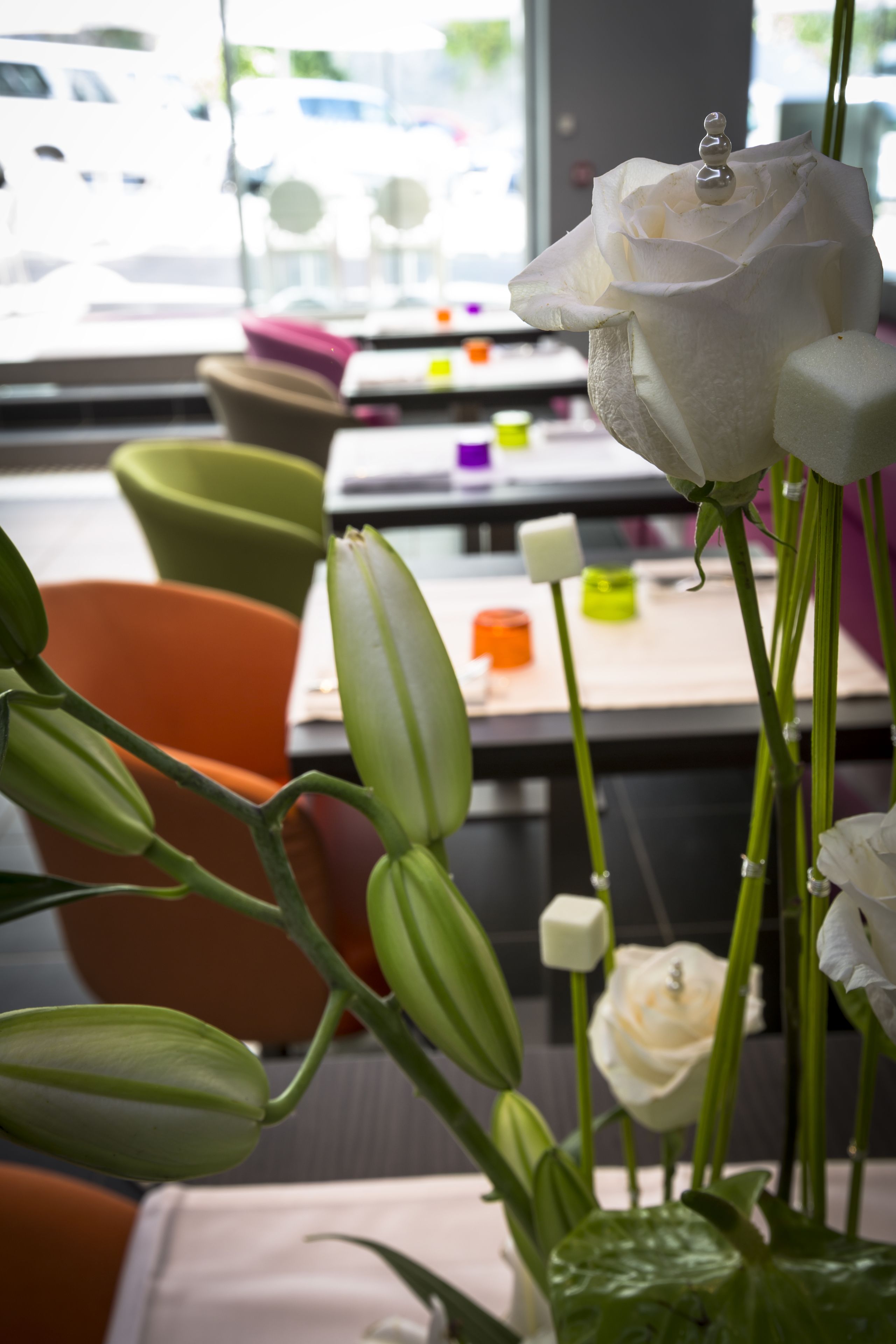 A white rose in a vase, a green plant, and a table with a white cloth.
