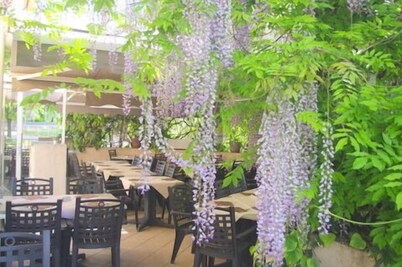 Hotel du Moulin à Vent Gerland