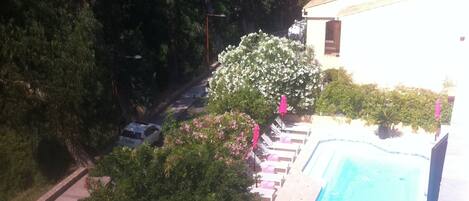 Alberca al aire libre y camastros