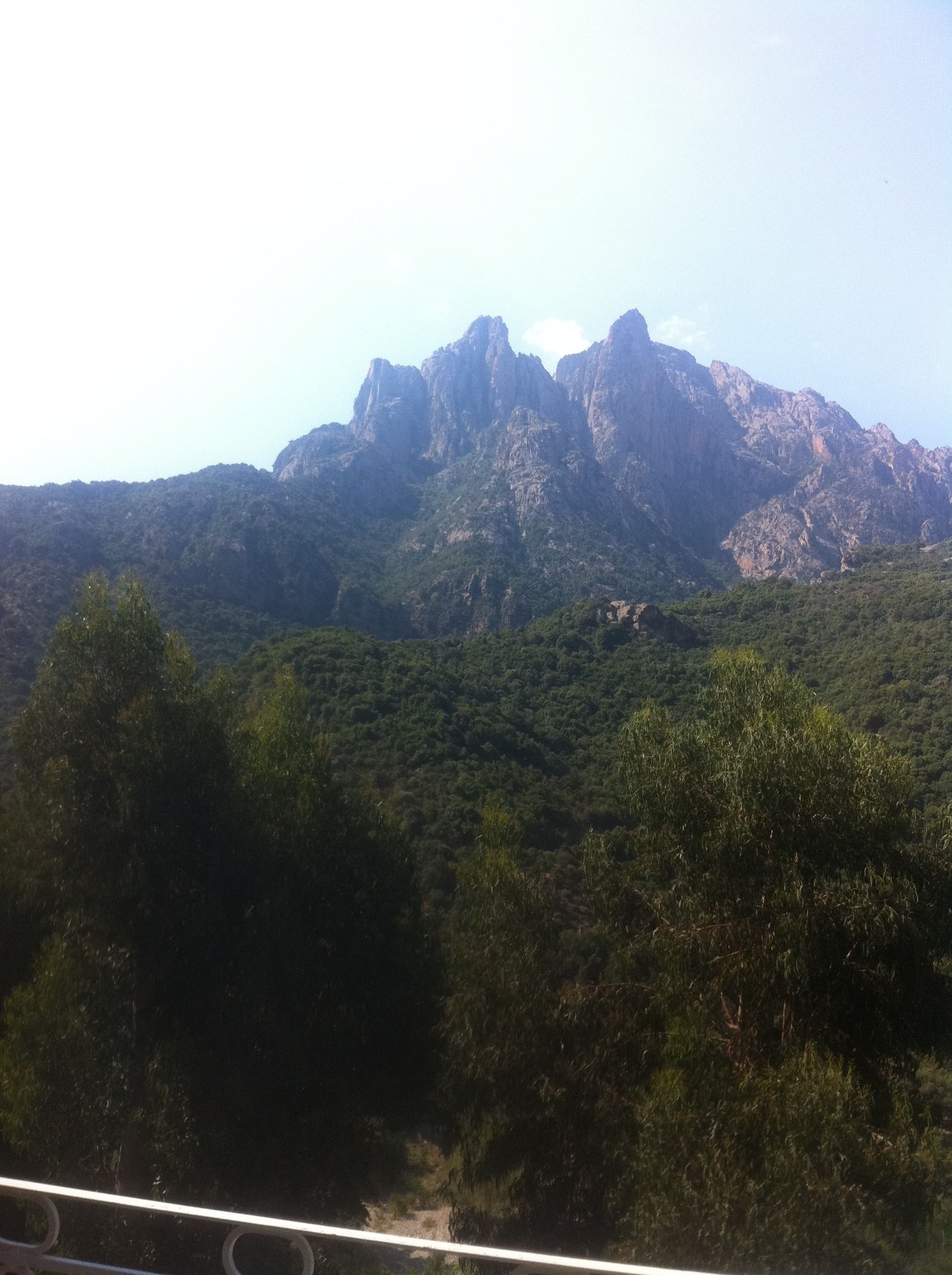 A mountain landscape with dense forest and rocky peaks.
