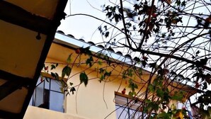A building with a yellow facade, a stone staircase leading to the entrance, and potted plants around the entrance area. - Mallqui Hostal (Cusco)