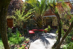 Trädgård