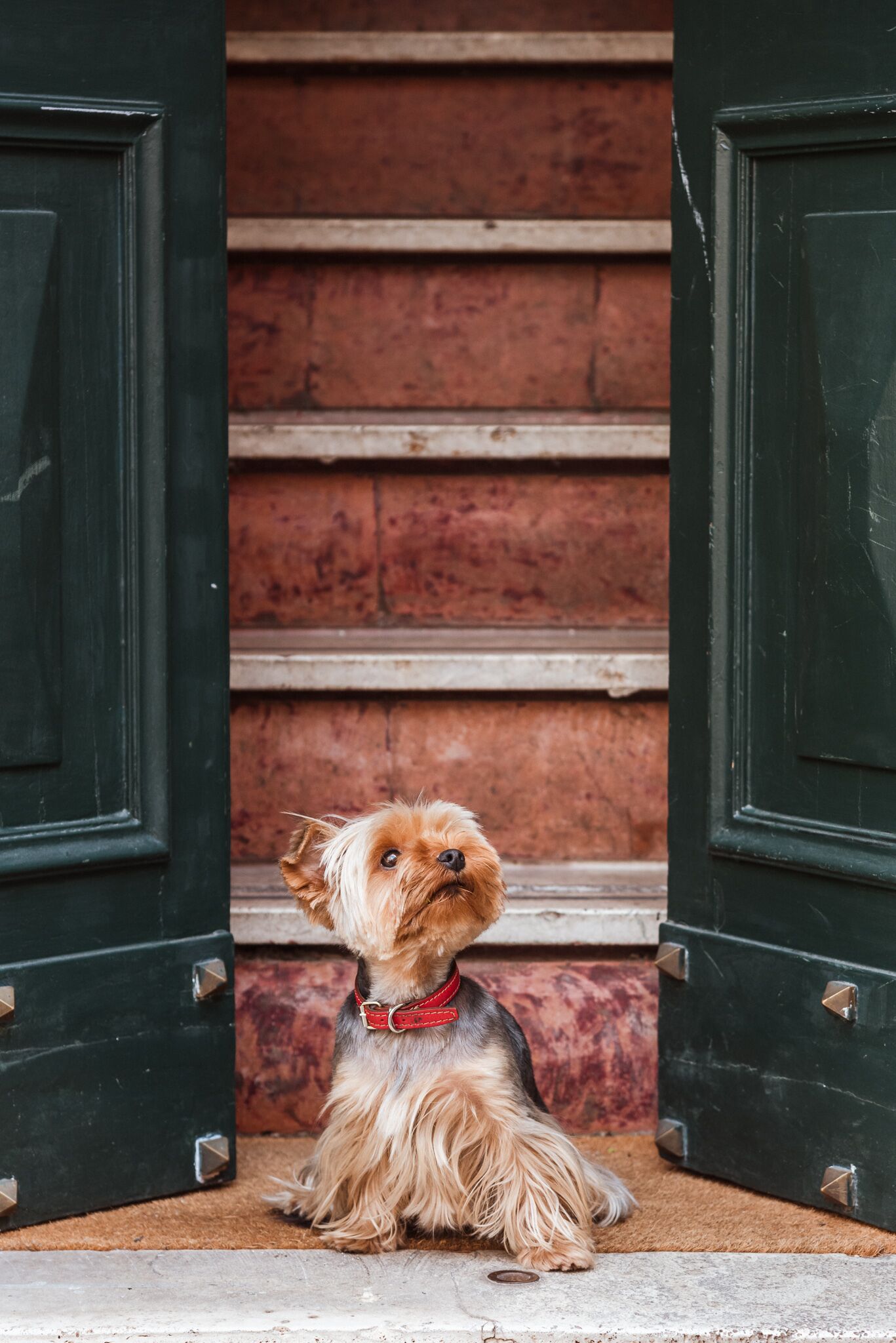 Photo - Teichnersuite