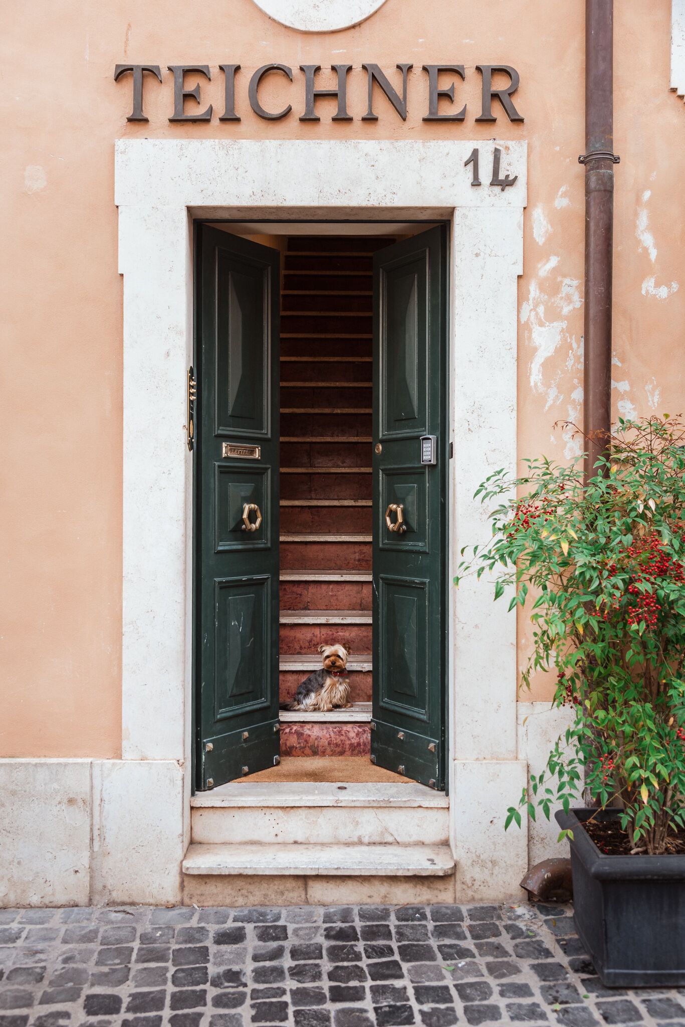 Photo - Teichnersuite