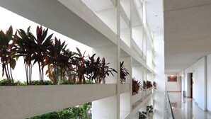 Un intérieur moderne avec des murs blancs, plusieurs niveaux et des plantes d’intérieur.