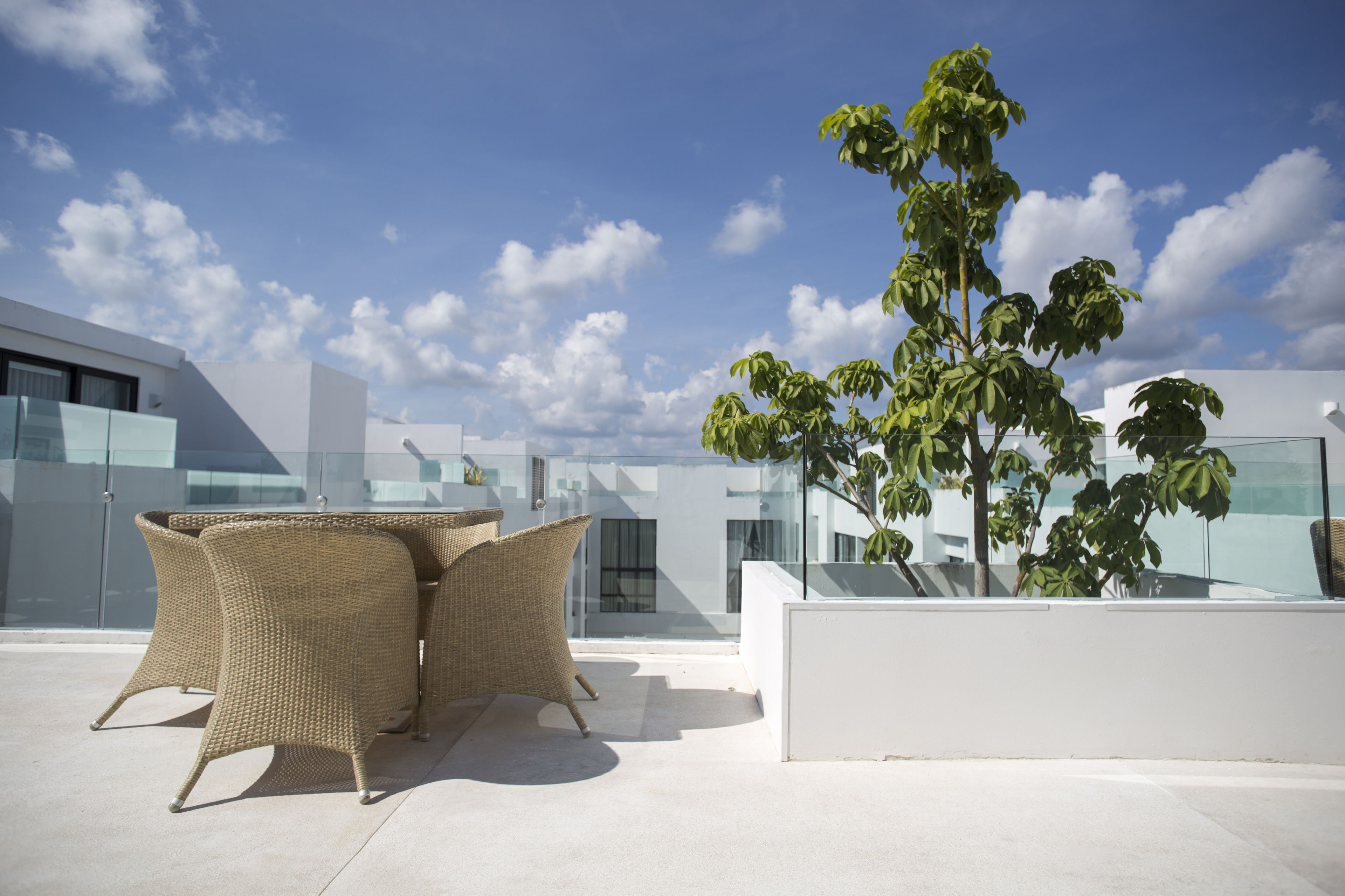 A rooftop terrace with wicker furniture and a large potted plant.