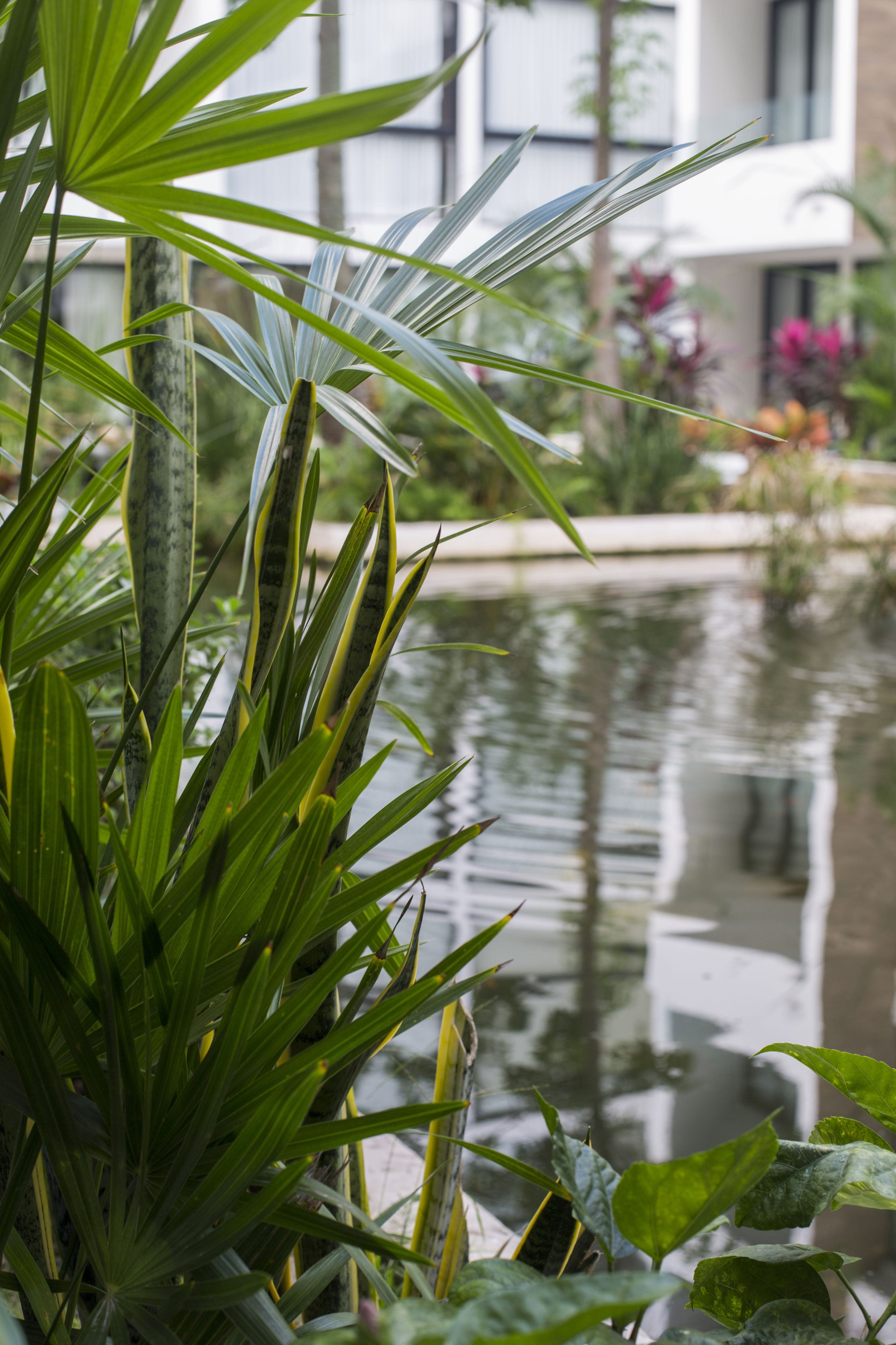 A tranquil garden with a pond, lush greenery, and a building in the background.
