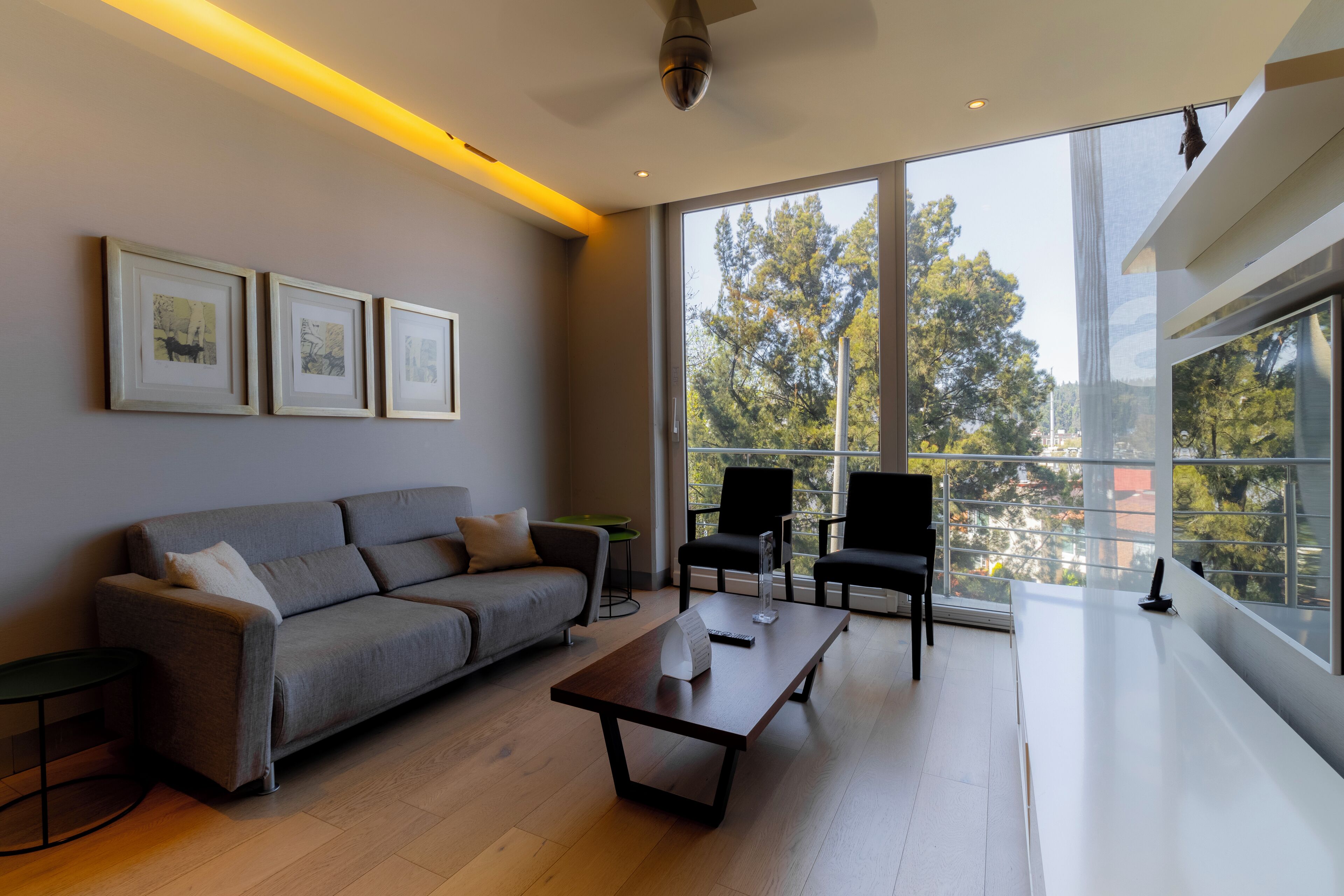 Deluxe Suite, Balcony | Living area | 39-inch flat-screen TV with cable channels, TV