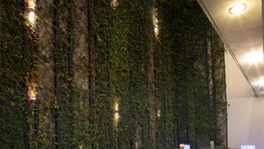 Une salle de conférence au design moderne, avec un mur végétal orné de plantes grimpantes, des chaises blanches et une table en verre.