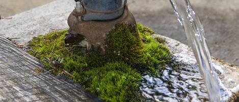 A metal water spout with water flowing from it, placed on a moss-covered stone.