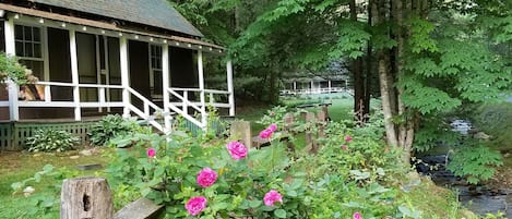 Standard Cabin, 1 Queen Bed | View from room