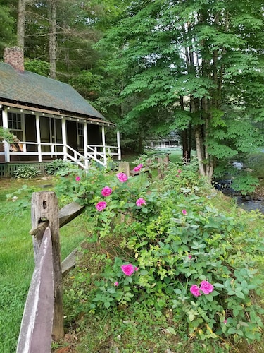 The Cabins at Healing Springs