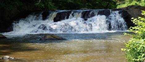 A waterfall in a forested area with clear water and rocks.