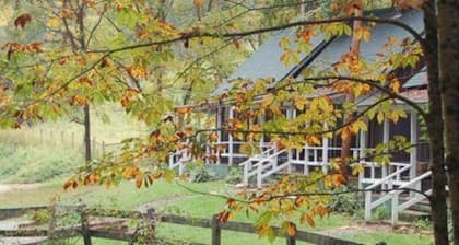 The Cabins at Healing Springs