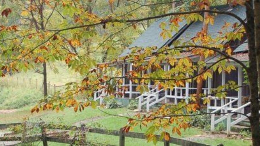 The Cabins at Healing Springs