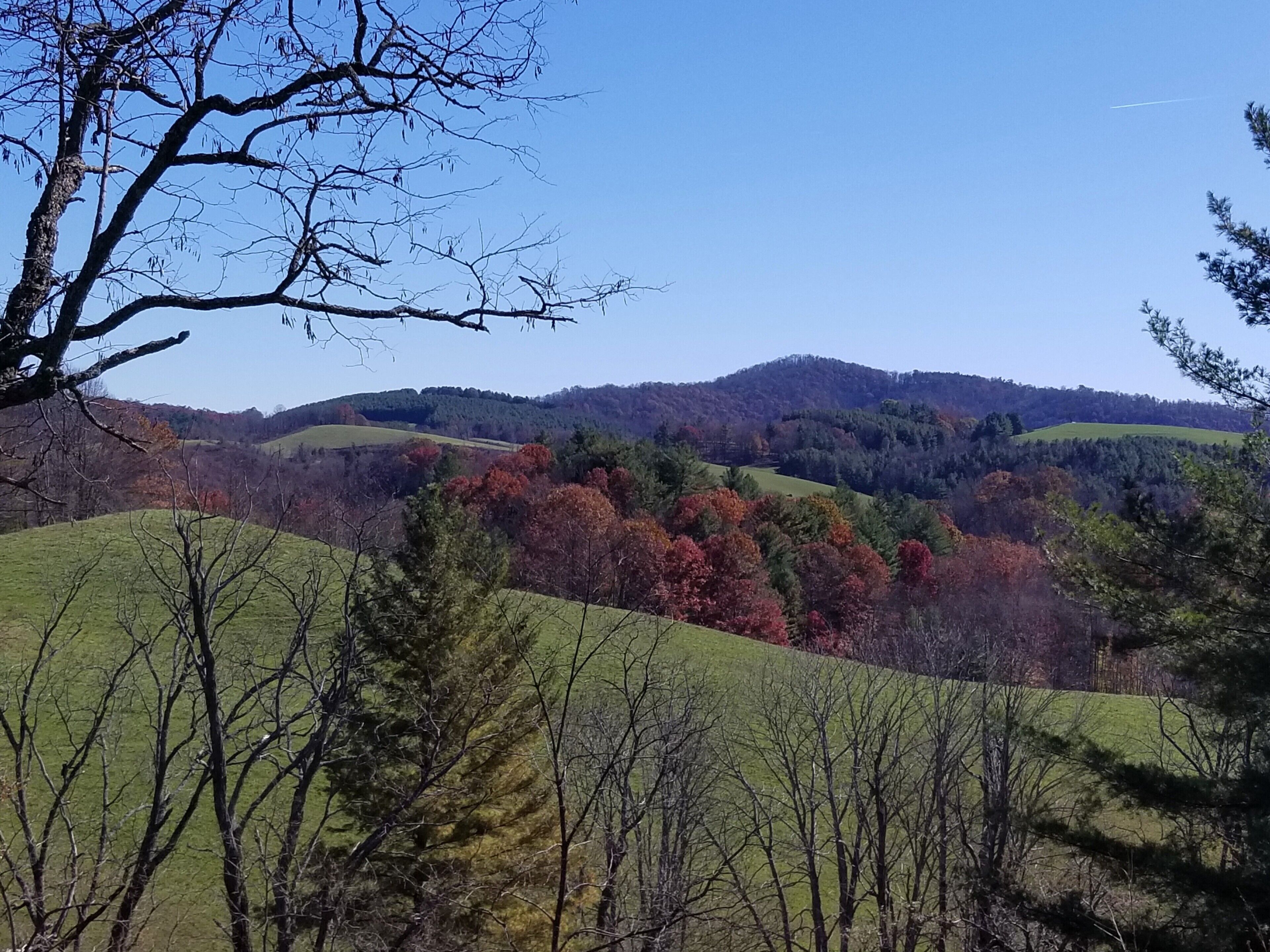 Paesaggio collinare, alberi con foglie autunnali e cielo azzurro limpido.