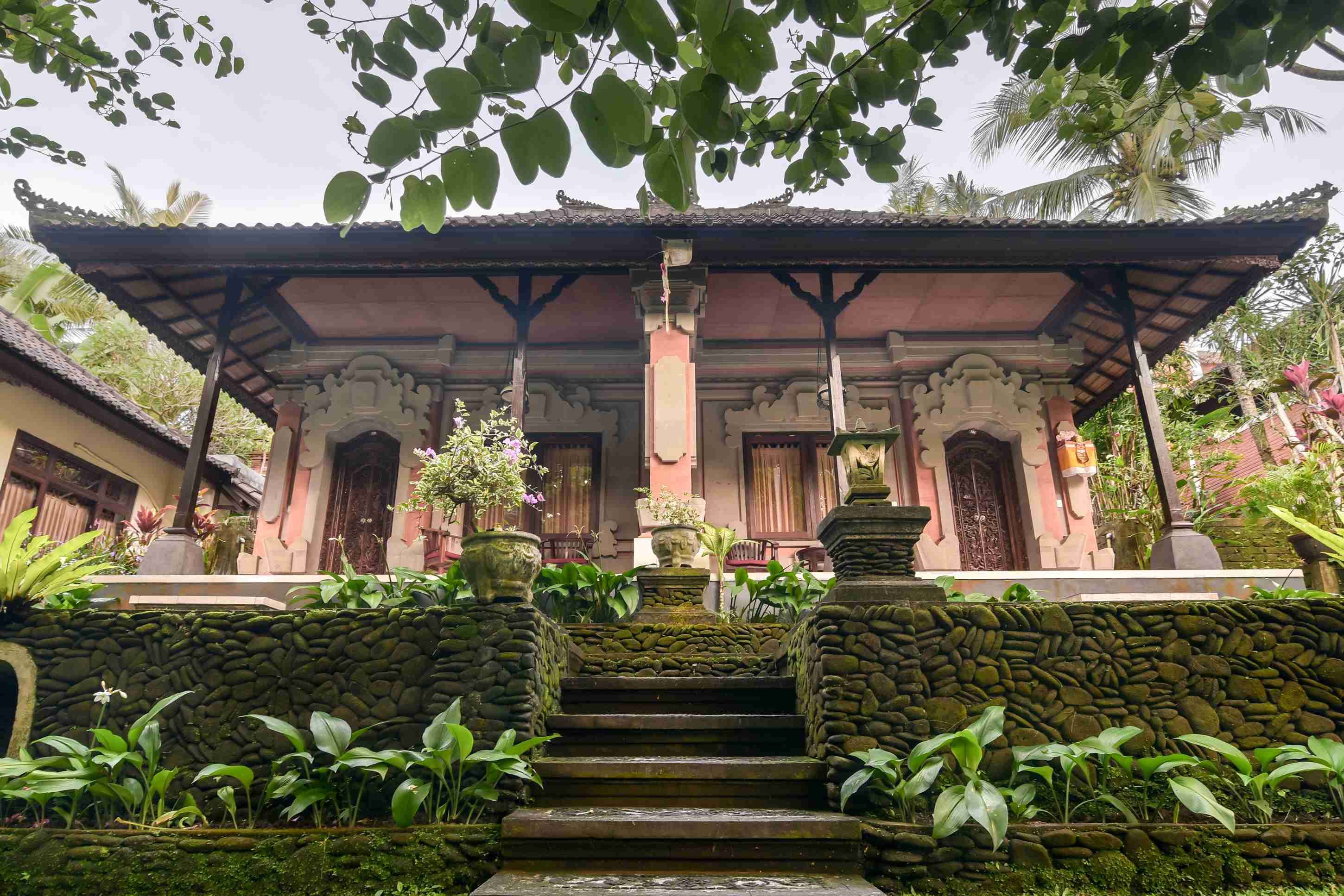 Foto - Nick's Pension