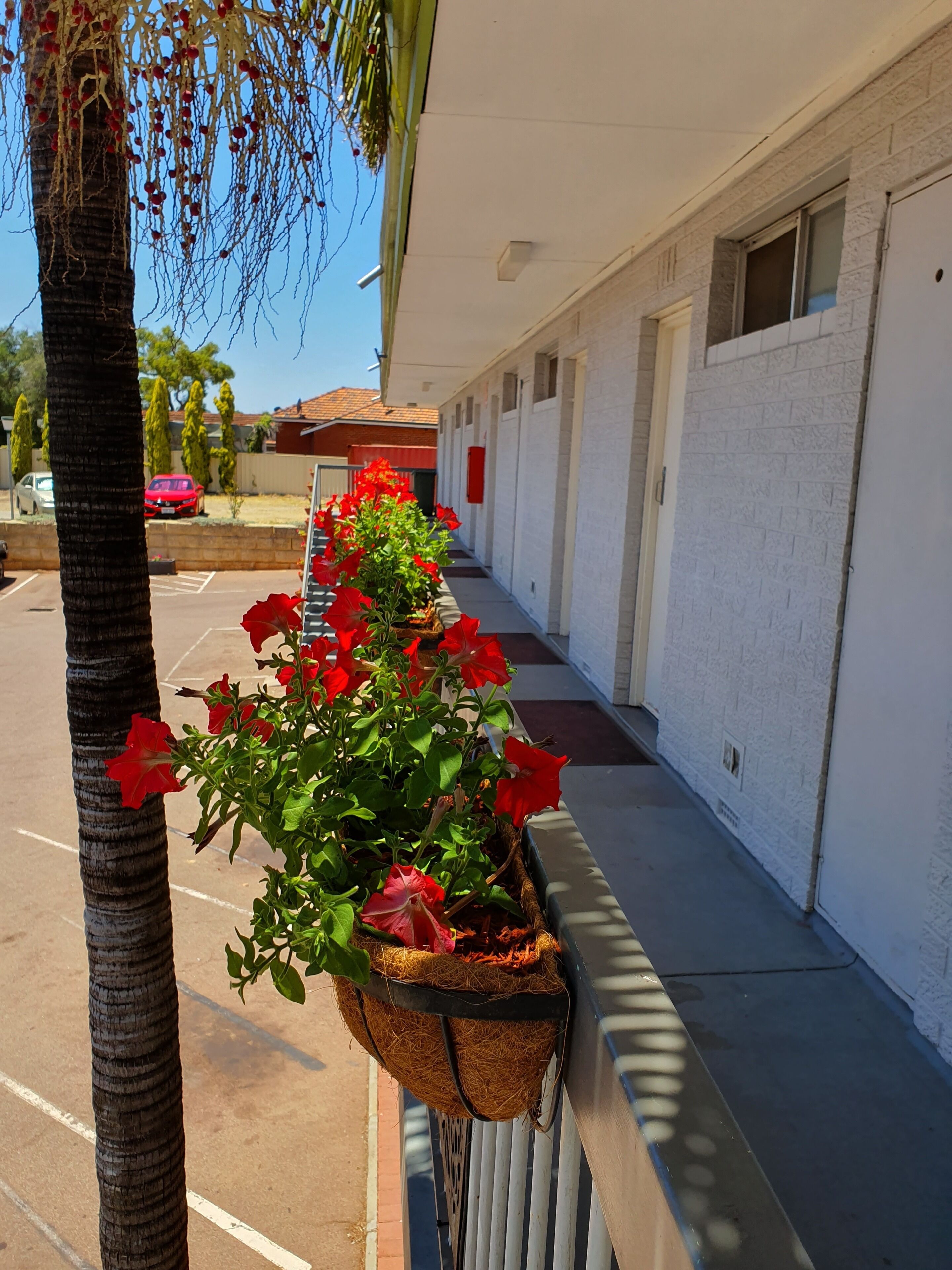 Un edificio con una fila de flores rojas en macetas colgantes a lo largo de un lado.