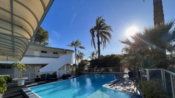 A swimming pool with clear water, surrounded by palm trees and potted plants.
