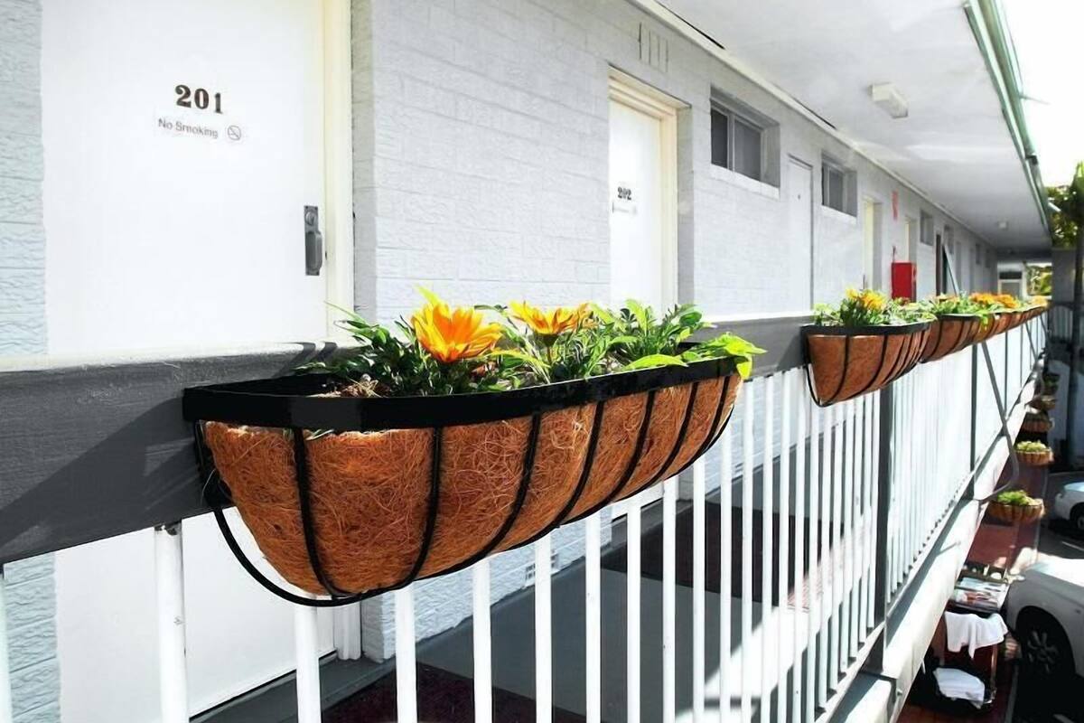 A hotel corridor with white doors, numbered 201, and hanging planters with flowers.