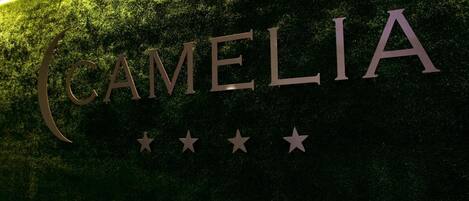 A sign with the name "CAMELIA" in large letters, surrounded by three stars.