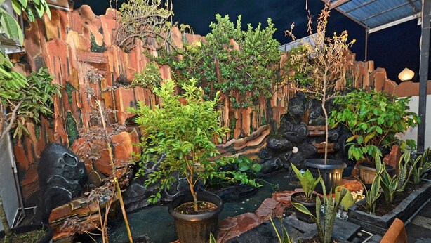 Un jardín rocoso con diversas plantas y un pequeño elemento de agua.