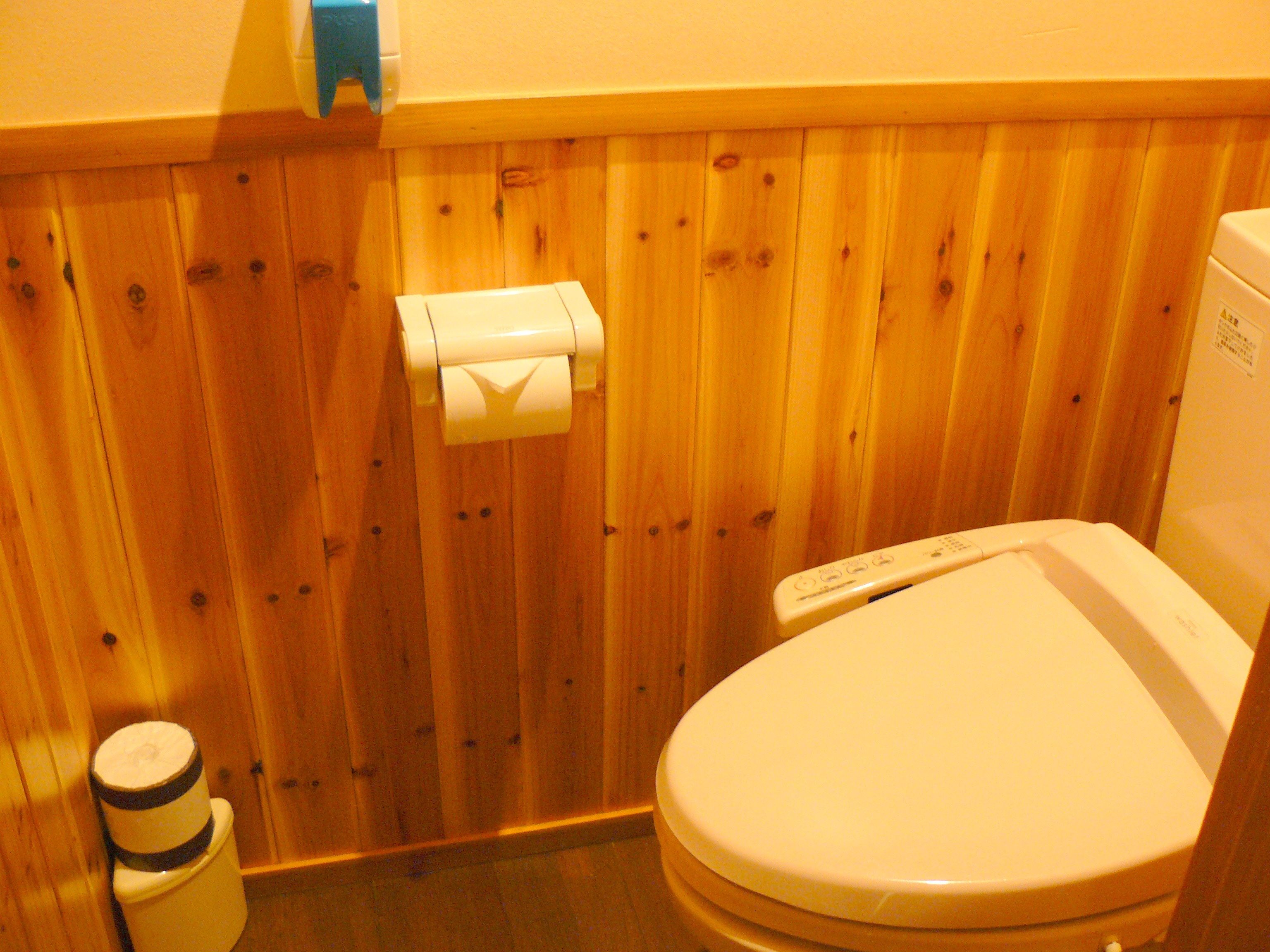 Une salle de bain aux murs lambrissés, équipée de toilettes et d’un porte-rouleau de papier toilette.